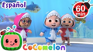 Bebé Tiburón  | Canciones Infantiles | Caricaturas para bebés | CoComelon en Español