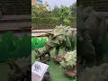 Candor #trending #engineerjagatbabu #engineerjagatbabu #motivation #viral #youtubeshorts #ai