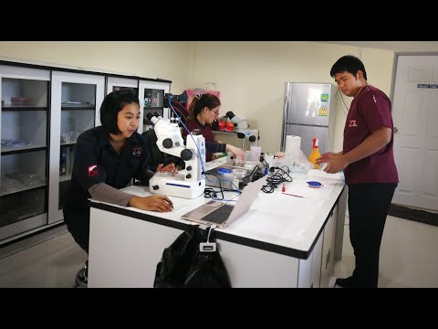 การย้ายฝากตัวอ่อน Embryo transfer by หมอพี แห่งสันติฟาร์ม|Ep3|