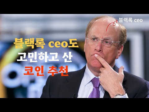   코인추천 래리핑크도 고민하다가 담은 코인 추 천 알트코인 비트코인 리플 시바이누 블러코인