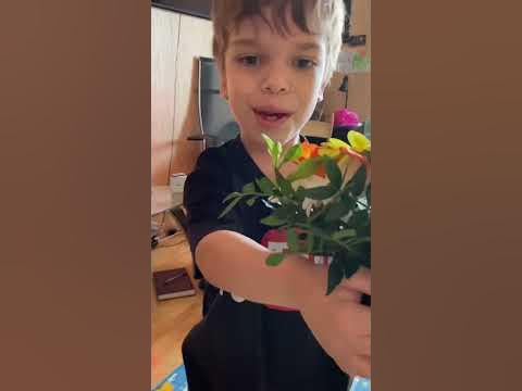 Глеб помог поздравить мою вторую половинку с днем влюбленных! День ...