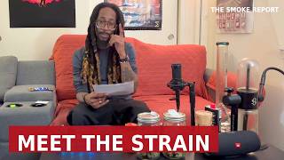 Meet The Strain: Chee Racer By CaliPlug 🌳🔥 | The Smoke Report