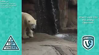 Vines That Cured Cancer Funny