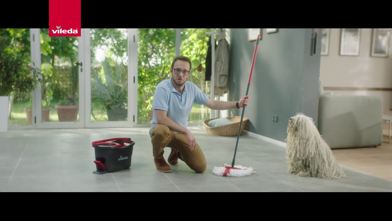 vileda mop dog