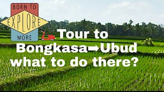 tour to BongkasaUbud aroundBALI️ ??12.05.2021