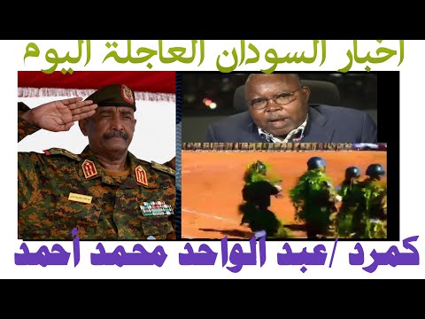 حوار رئيس حركة جيش تحرير السودان الأستاذ عبد الواحد محمد أحمد النور لا تعترف بحكومة الدعم السريع
