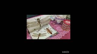 #diy #diary #dragonflies #aesthetic #study #pink #butterfly
