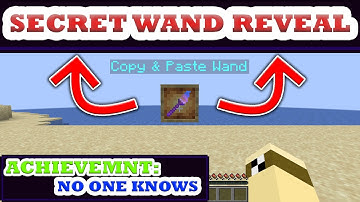 Minecraft But You Have Copy Paste Wand