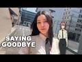 My Final Week as an Office Worker in Japan (before I quit)