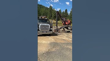 210 prentice is standing alone.