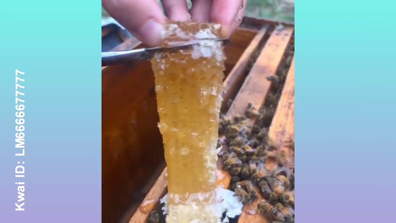 FuunyVideo | AmazingClip | 2