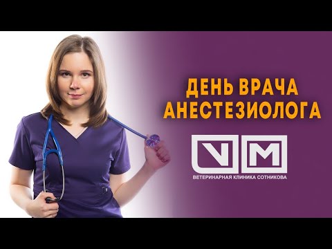 День анестезиолога в клинике Сотникова
