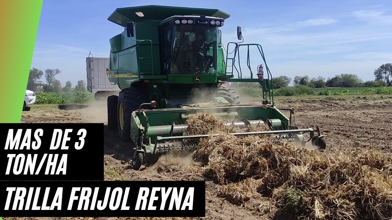 TRILLA FRIJOL REYNA EN SONORA 2022