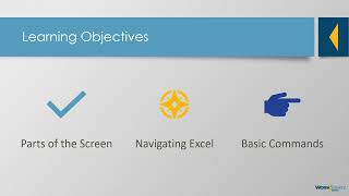 Module 7) Excel