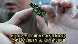 FISHING TUTORIAL TIPS-HOW TO CHOOSE A VIB LURE screenshot 5