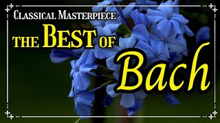 🎐 The Best of Bach - BWV 147, BWV 1059, BWV 1010