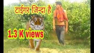 naveen poswal song np nekpuriya music np nekpuriya song ladla aman aman lohia