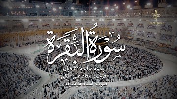 ترجمه فارسی سوره بقره (آیه ۱۹۷ تا ۲۰۲) استاد علی ملکی | با صدای استاد مومیوند | سال قرآن
