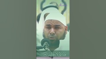 #الشيخ  #عبدالله #كامل  #سورة_البقرة  #المرسلات  ج٤