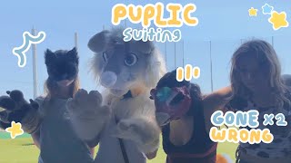 Public Fursuiting Gone Wrong..