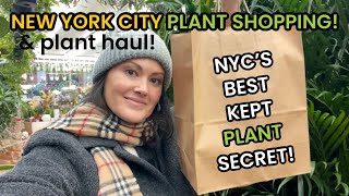 New York City's Best Kept Secret! Plant Shops In the Flower District  Plant Shopping & Plant Haul
