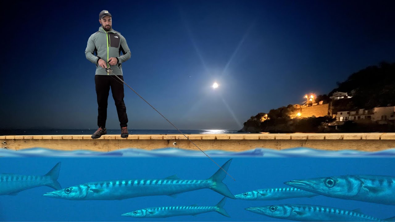On PÊCHE le BARRACUDA en pleine NUIT dans ce PORT !