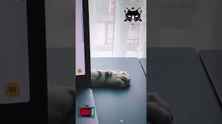 УЖАС ЗА НОУТБУКОМ | 👀