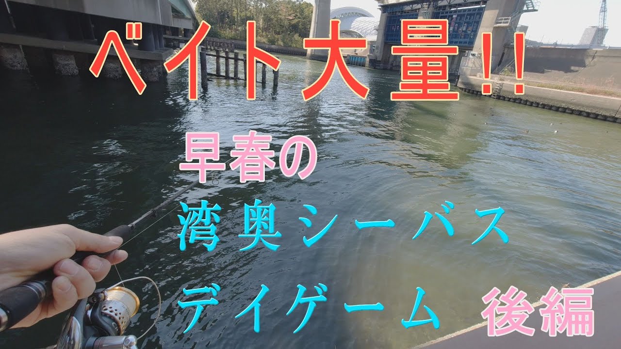 東京湾奥 早春の シーバス デイゲーム ハクパターン を攻略したい 後編 Youtube 東京湾奥 早春の シーバス デイゲーム ハクパターン を攻略したい 後編 Youtube