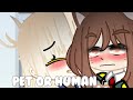 Pet or Human|| Togaocha|| Animal Au?|| Au|| Mha|| Gacha club