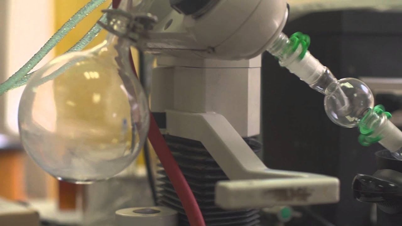 PreMedicine at St. Bonaventure University YouTube