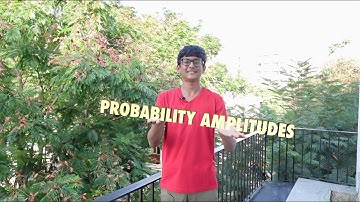 Breakthrough Junior Challenge 2023 | Probability Amplitudes | Arjun Kalaiselvan