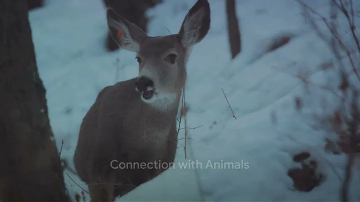 People With A Spiritual Gift Are Affected By These 10 Strange Things