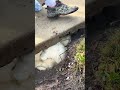 掘削工事なしで沈下した道路を即座に復元するアメリカの技術