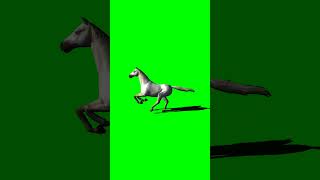 Horse Running Sound Effect Green Screen Animals Video Animals Green Screen Video