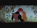 Disney Sleeping Beauty Wanna Be Adored