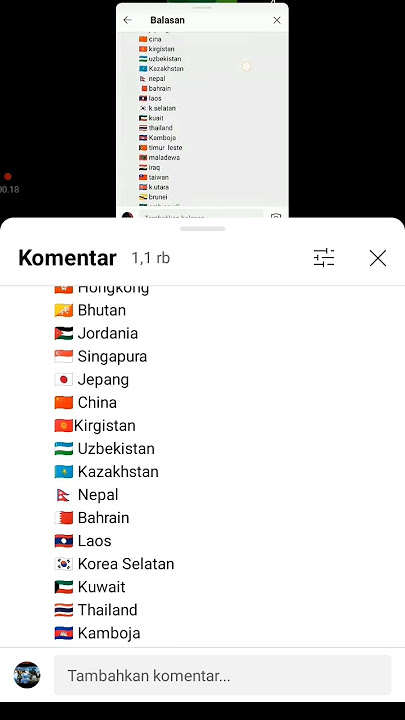 LAGU VIETNAM INDONESIA #countryballs #negara