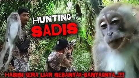 SkiLL Jitu..!! TEmbak kera liar pemakan hasil kebun petani..!! Berburu kera liar‼️monkey hunter 🐒
