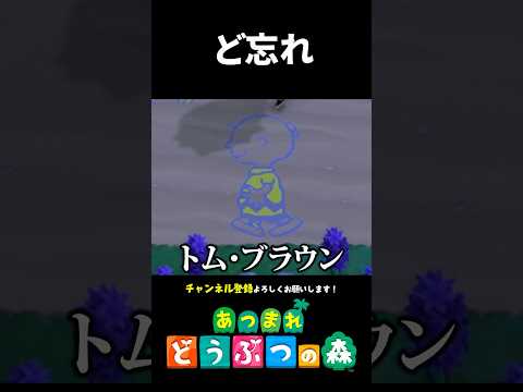 【あつ森】名前をど忘れしちゃった人