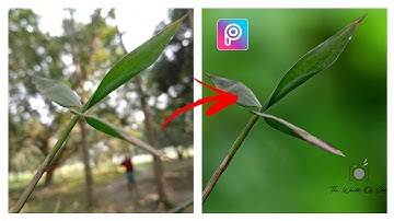 Add Bokeh Effect & Blur Background To Your Photos | PicsArt Background Blur Tutorial