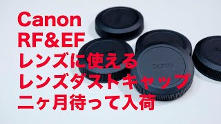 Canon RFレンズEFレンズに使えるレンズダストキャップ入荷