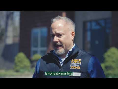 Supporting conservation and community at Connecticut's Beardsley Zoo | Avangrid