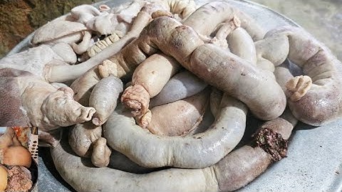  Ẩm Thực Tuyên Quang Giao Lưu Lợn Rừng, Mâm Tiết Canh, Lòng Sốt Ngon Hết Sảy. 