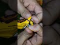 Satisfying Video Asmr Unboxing GIANT Sweets Chocolate and Rainbow Lollipops with Candy Cutting Asmr