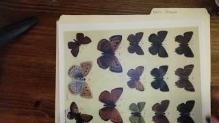 Making a master board like Gail A. | Craft with me