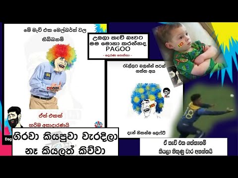 Tik Tok Joke Wadan Sinhala Cat Tik Tok Sinhala Funny Videos For