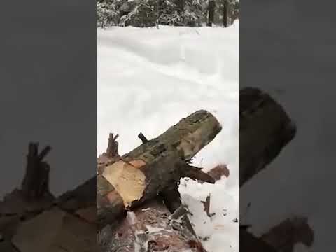 Если нет ничего,