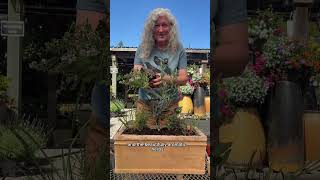How To: Garden-to-Glass Container