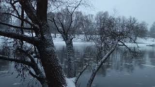 Долгожданный февральский снежок 😌🌨