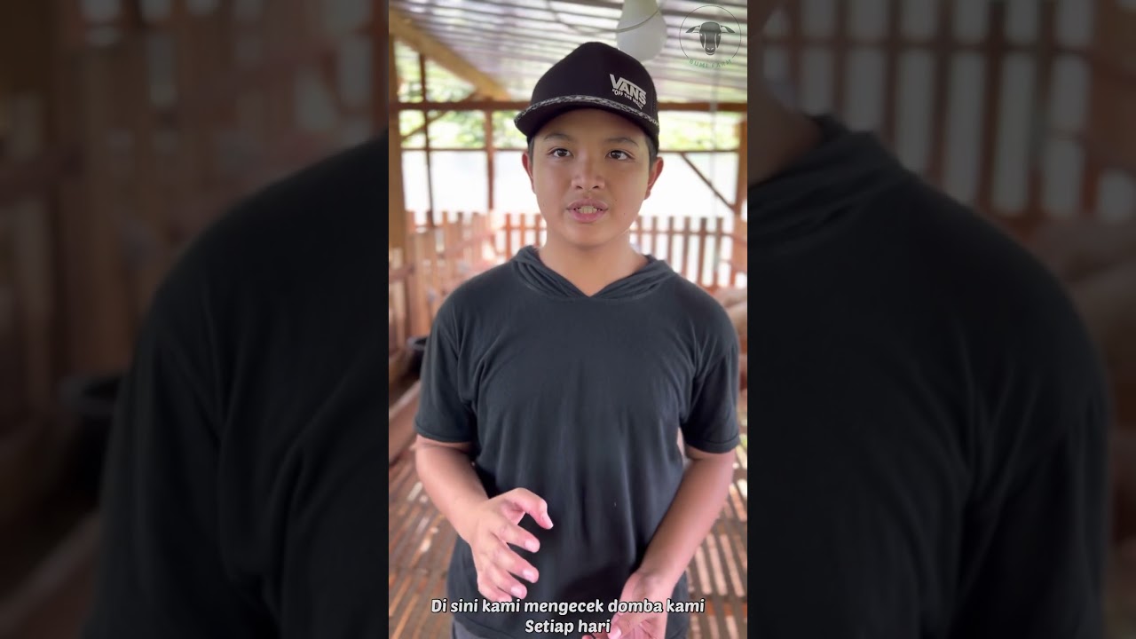 Peternakan Domba “BUMI Farm” Imtaq Shigor Program Khusus Isy Karima