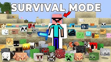 Why I Collected Every MOB HEAD in this HeadSteal SMP